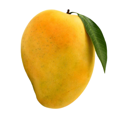 Fazli Mango
